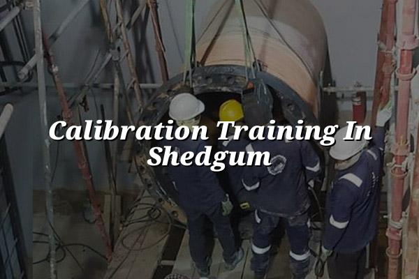 Calibration Training in Shedgum