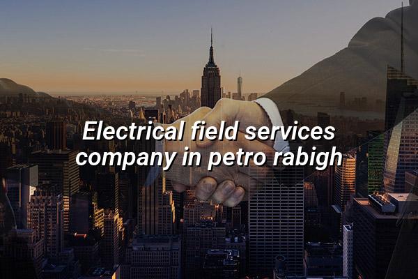 Electrical Field Services Company in Petro Rabigh