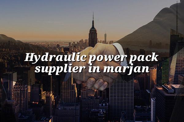 Hydraulic Power Pack Supplier in Marjan