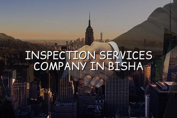 Inspection Services Company in Bisha