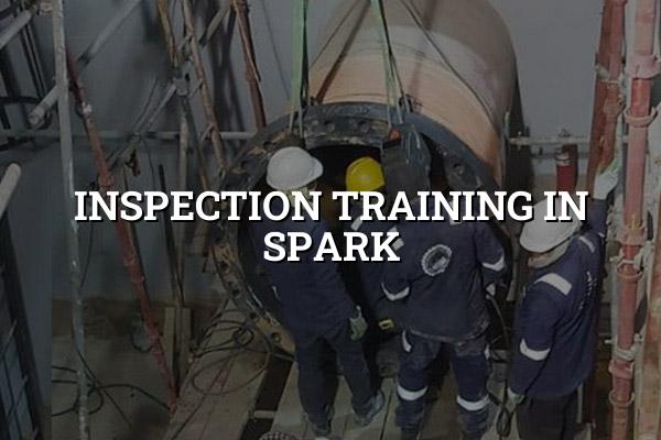 Inspection Training in Spark