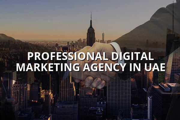 Professional Digital Marketing Agency in UAE