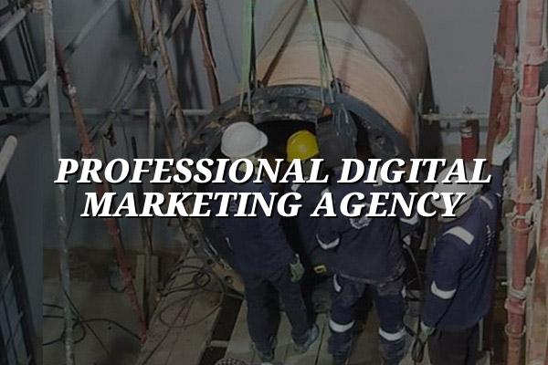Professional Digital Marketing Agency