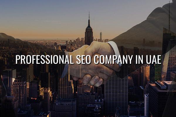 Professional SEO Company in UAE