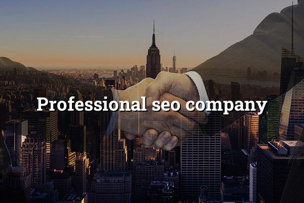 Professional SEO Company