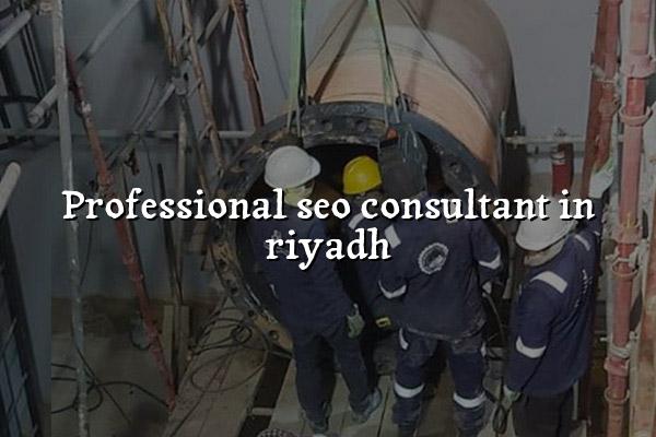Professional SEO Consultant in Riyadh