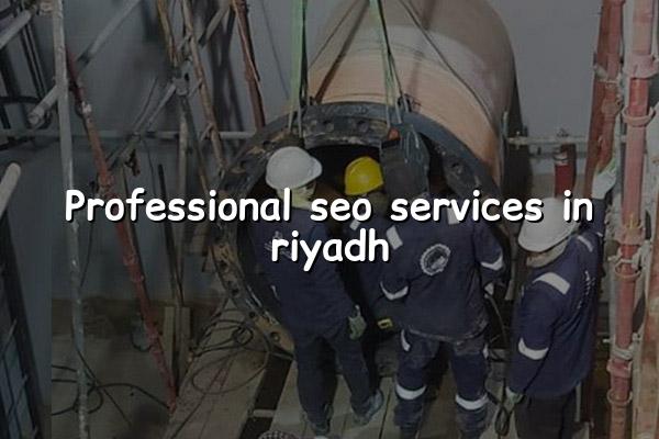 Professional SEO Services in Riyadh