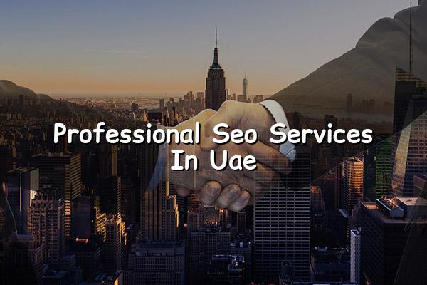 Professional SEO Services in UAE