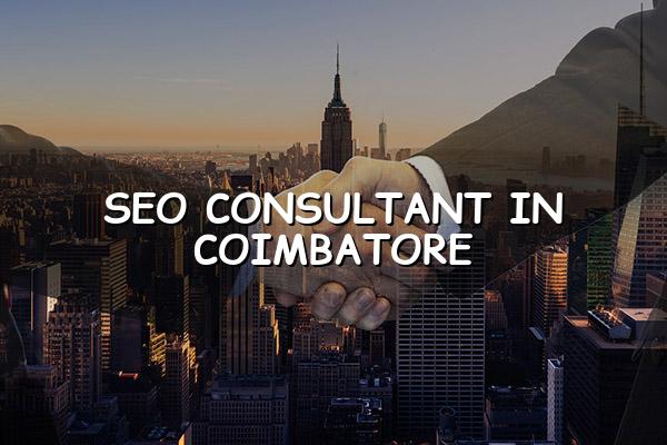 SEO Consultant in Coimbatore