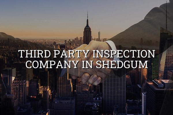 Third Party Inspection Company in Shedgum