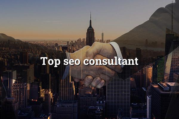 Top SEO Consultant