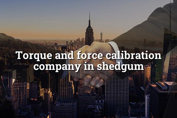Torque And Force Calibration Company In Shedgum